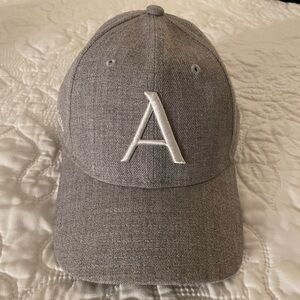 Aritzia Baseball Hat - Heather Chrome